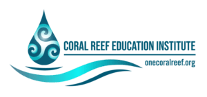 Snorkeling adventure with vibrant marine life near Kaanapali, Maui, Hawaii.